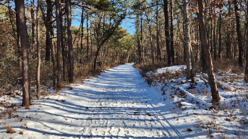 Brookhaven State Park - Ridge, NY