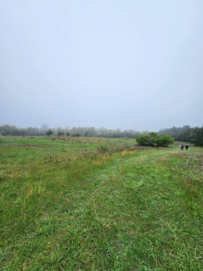 Ridge Multiple Use Area - Ridge, NY