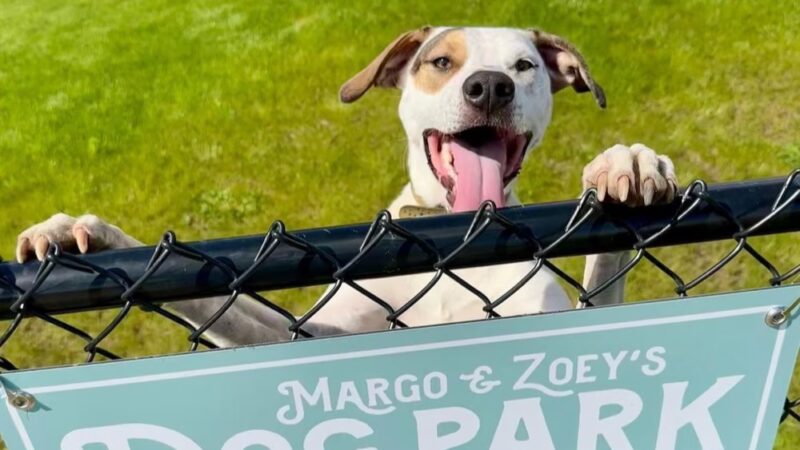 Margo & Zoey's Dog Park - Ridgefield, WA