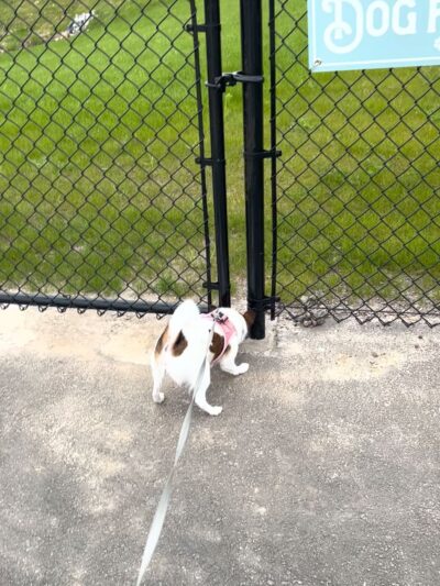 Margo & Zoey's Dog Park - Ridgefield, WA