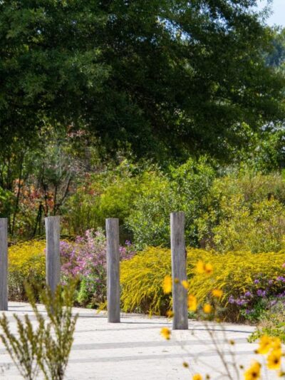 Adkins Arboretum - Ridgely, MD