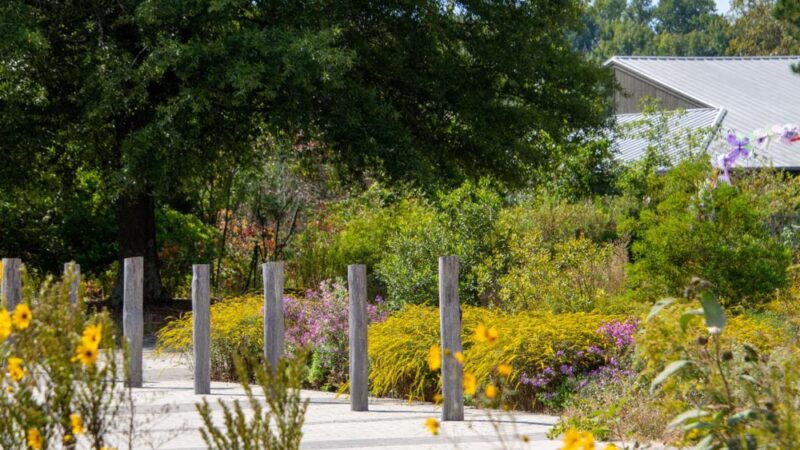 Adkins Arboretum - Ridgely, MD