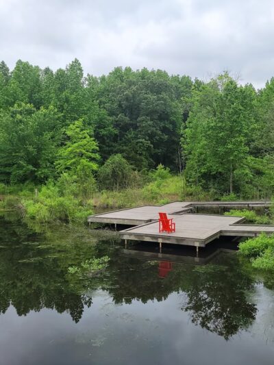Adkins Arboretum - Ridgely, MD