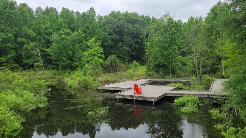 Adkins Arboretum - Ridgely, MD