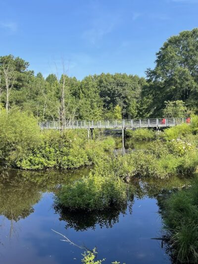 Adkins Arboretum - Ridgely, MD