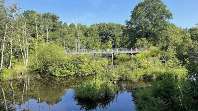Adkins Arboretum - Ridgely, MD