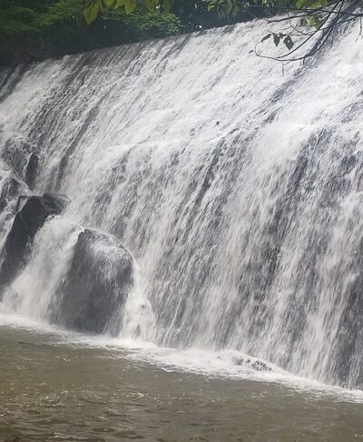 Fisher Farm Park - Ridgeway, VA
