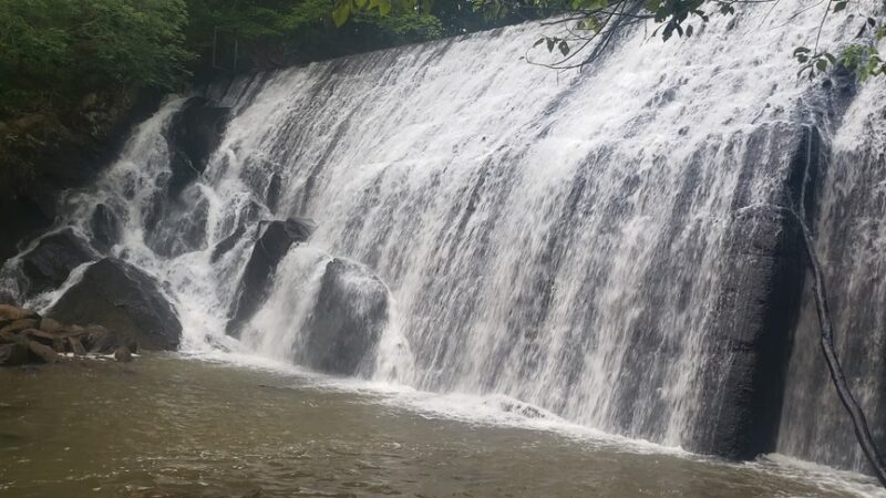 Fisher Farm Park - Ridgeway, VA