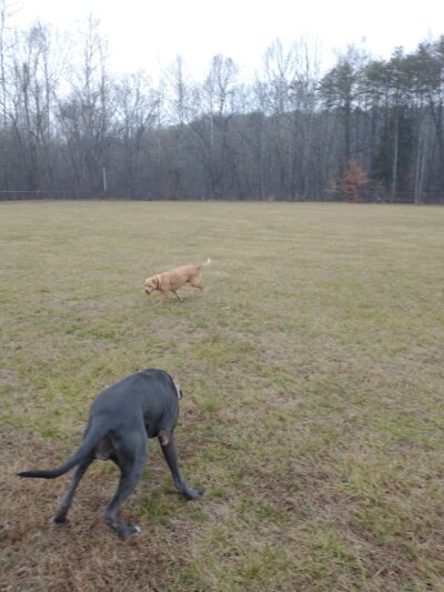 Fisher Farm Park - Ridgeway, VA