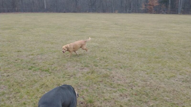 Fisher Farm Park - Ridgeway, VA