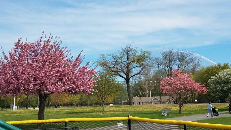 Veterans field - Ridgewood, NJ