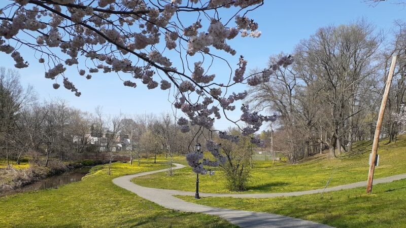 Bonnes Park - Ridley Park, PA