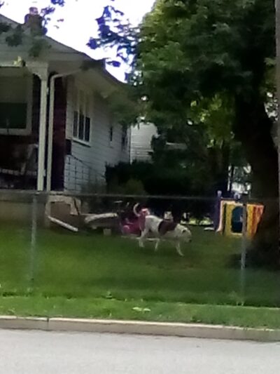 Bonnes Park - Ridley Park, PA