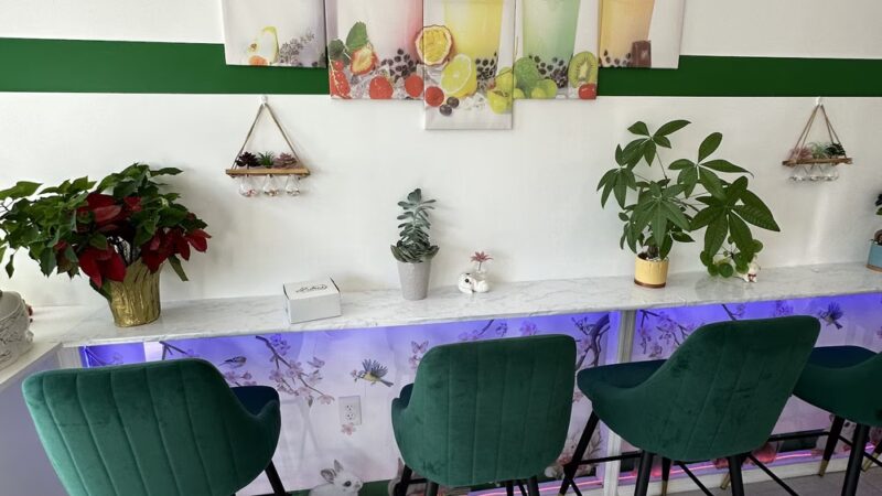 Bunny Tea and Healthy Juice - Ridley Park, PA