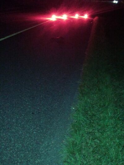 Hetzel Park - Ridley Park, PA