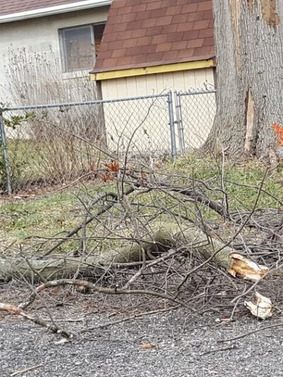 James Pentimall Park - Ridley Park, PA