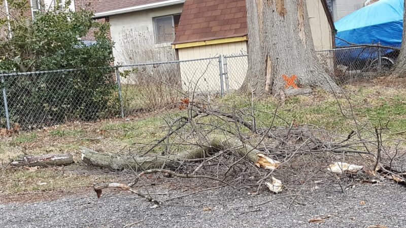 James Pentimall Park - Ridley Park, PA