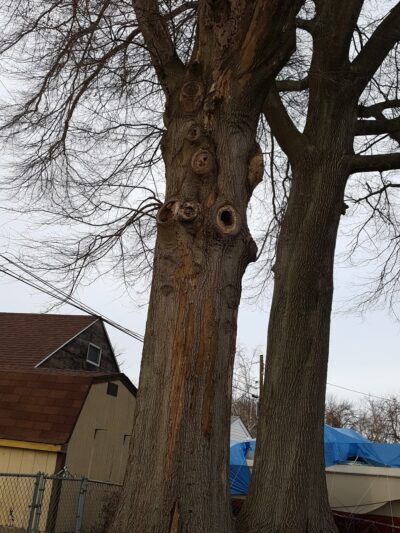 James Pentimall Park - Ridley Park, PA