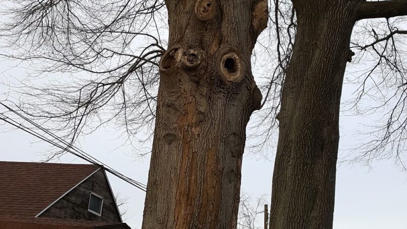 James Pentimall Park - Ridley Park, PA