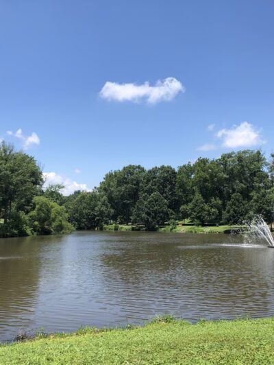 Ridley Park Lake - Ridley Park, PA