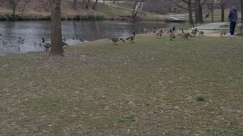 Ridley Park Lake - Ridley Park, PA