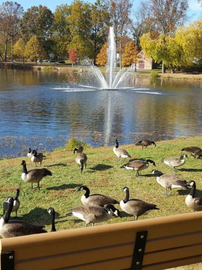 Ridley Park Lake - Ridley Park, PA