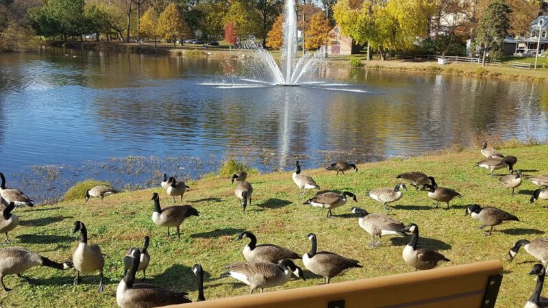 Ridley Park Lake - Ridley Park, PA