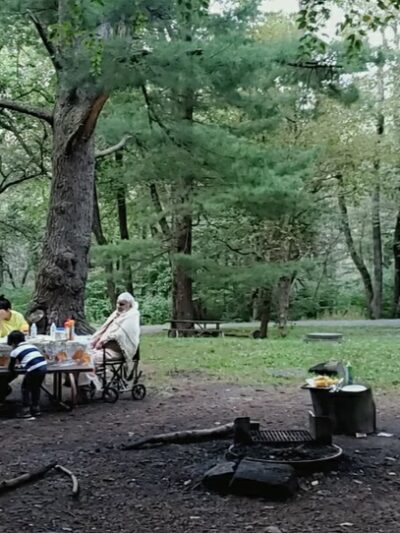 Elkwallow Picnic Area - Rileyville, VA