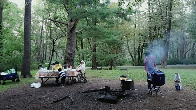 Elkwallow Picnic Area - Rileyville, VA