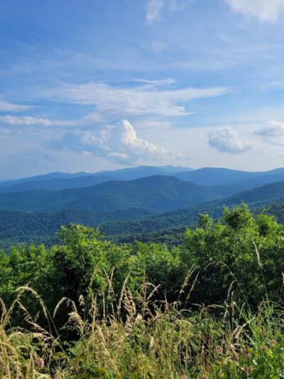 Elkwallow Picnic Area - Rileyville, VA