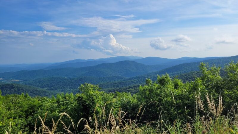 Elkwallow Picnic Area - Rileyville, VA