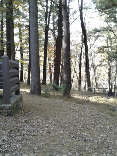 Elkwallow Picnic Area - Rileyville, VA