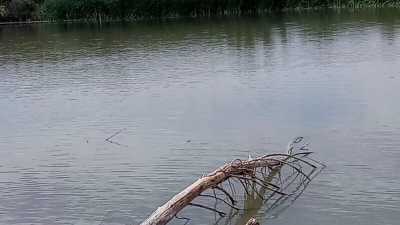 Lake Montezuma - Rimrock, AZ
