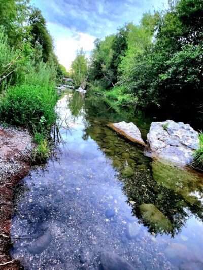 Sycamore Park - Rimrock, AZ