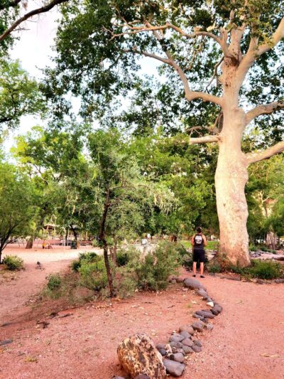 Sycamore Park - Rimrock, AZ