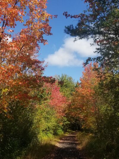 Contoocook Marsh Conservation Complex - Rindge, NH