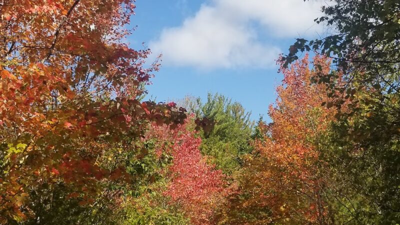 Contoocook Marsh Conservation Complex - Rindge, NH