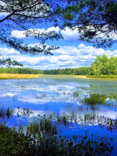 Contoocook Marsh Conservation Complex - Rindge, NH