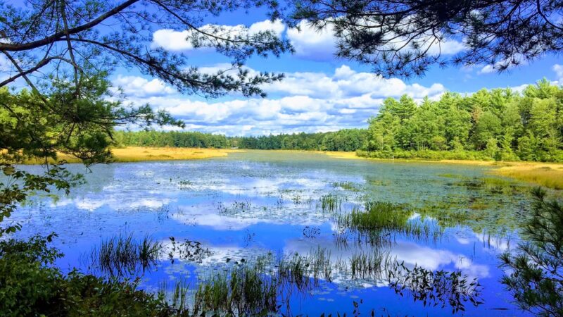 Contoocook Marsh Conservation Complex - Rindge, NH
