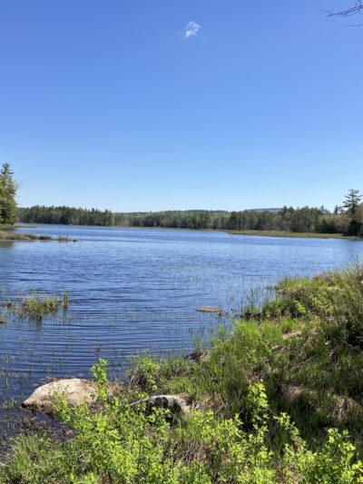 Converse Meadow - Rindge, NH