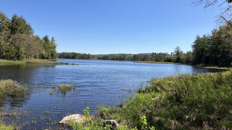 Converse Meadow - Rindge, NH