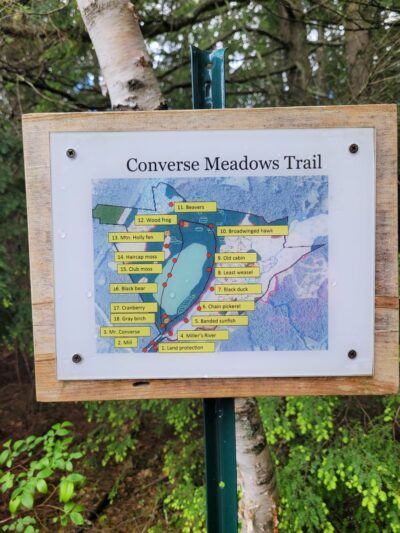 Converse Meadow - Rindge, NH