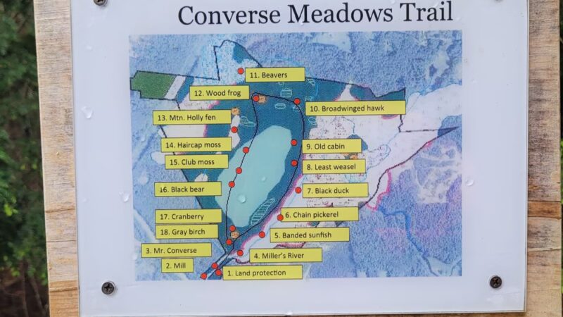 Converse Meadow - Rindge, NH