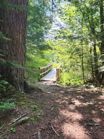 Converse Meadow - Rindge, NH