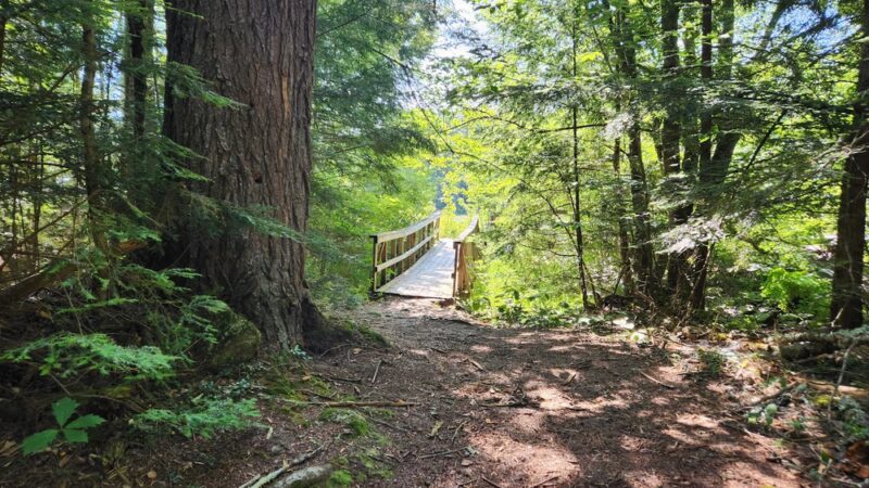 Converse Meadow - Rindge, NH