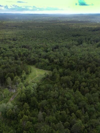 Rindge Town Forest - Rindge, NH