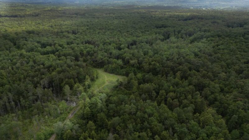 Rindge Town Forest - Rindge, NH