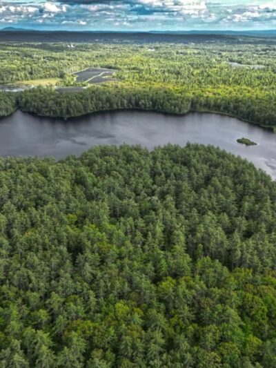 Rindge Town Forest - Rindge, NH