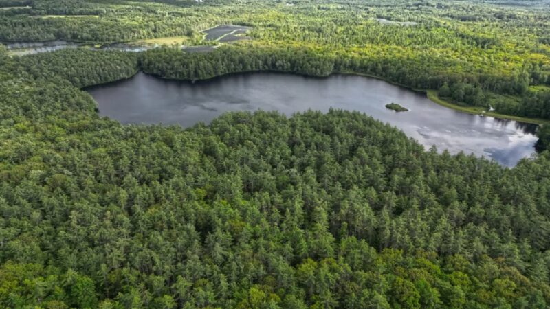 Rindge Town Forest - Rindge, NH