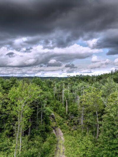 Rindge Town Forest - Rindge, NH